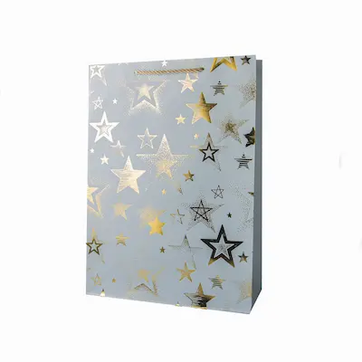 BOLSA DE REGALO UNISEX S