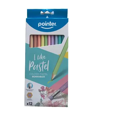 LAPIZ COLOR PASTEL POINTER BORRABLE 12 UNID