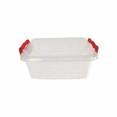 CAJA PLASTICA ORGANIZADORA 4 LITROS